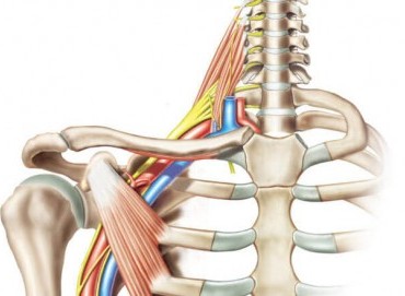Periferik Sinir Yaralanmaları: Belirtiler ve Tedavi Yöntemleri