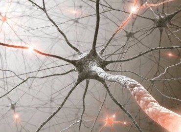 Periferik sinir cerrahisinde nörogelişimsel bozukluklara yaklaşım